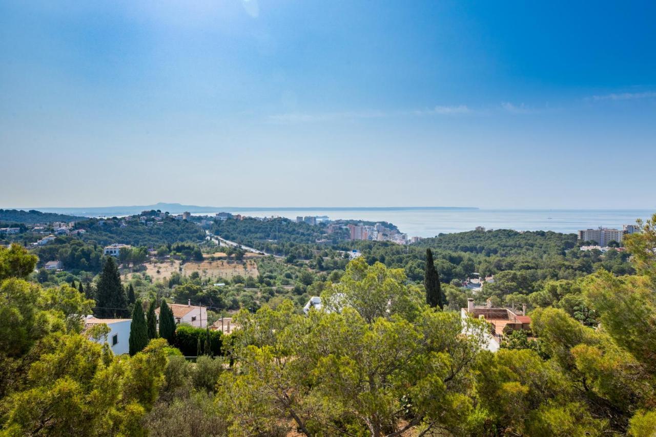 Big Villa Can Pedro In Palma De Mallorca Exteriör bild