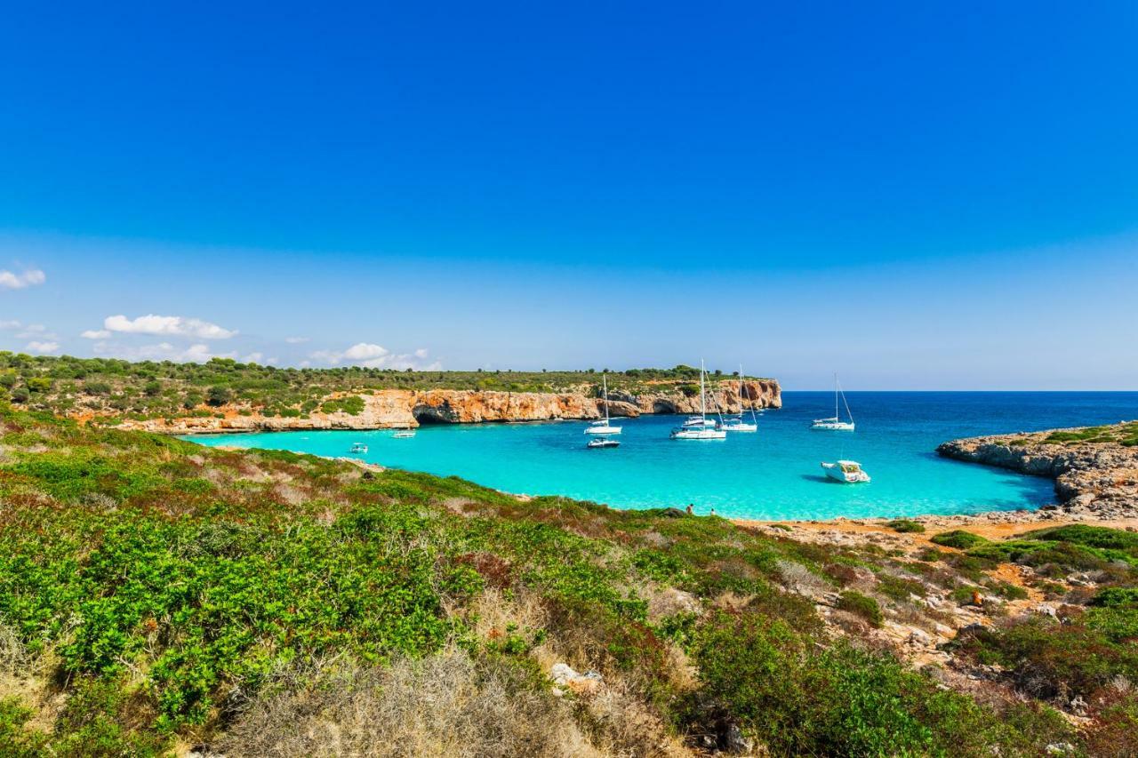 Big Villa Can Pedro In Palma De Mallorca Exteriör bild
